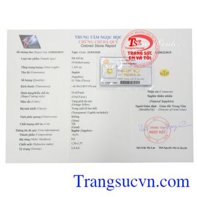 Giấy kiểm định