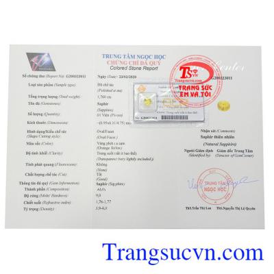 Giấy kiểm định