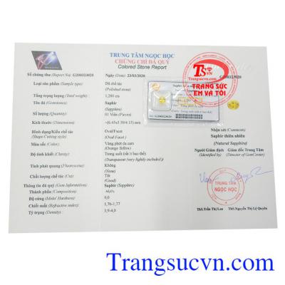 Giấy kiểm định