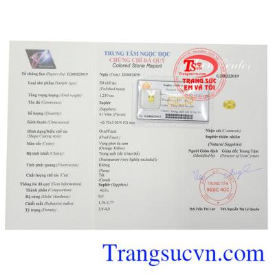 Giấy kiểm định