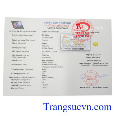 Giấy kiểm định