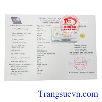 Giấy kiểm định