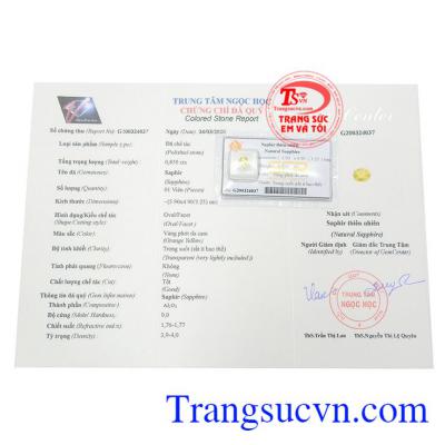 Giấy kiểm định