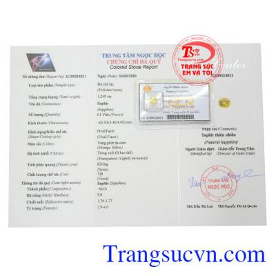 Giấy kiểm định