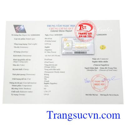 Giấy kiểm định