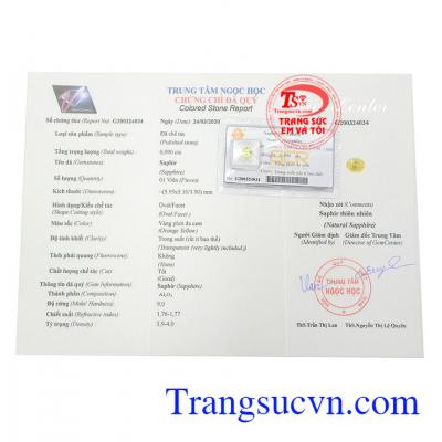 Giấy kiểm định