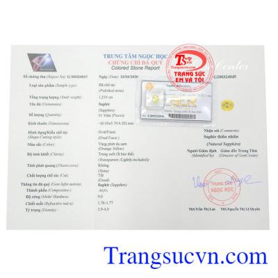 Giấy kiểm định