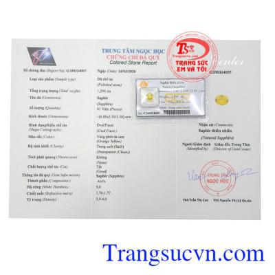 Giấy kiểm định