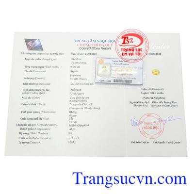 Giấy kiểm định