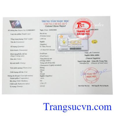 Giấy kiểm định