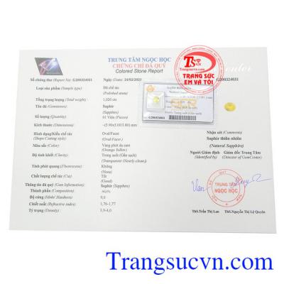 Giấy kiểm định