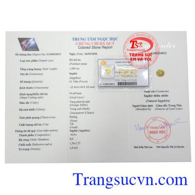 Giấy kiểm định