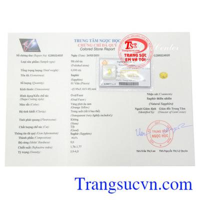 Giấy kiểm định