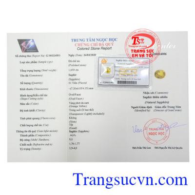 Giấy kiểm định