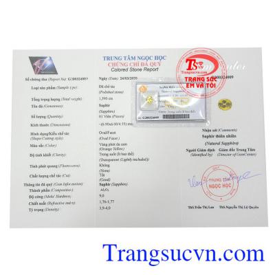 Giấy kiểm định