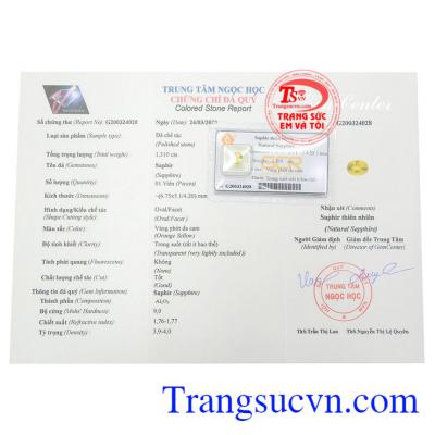 Giấy kiểm định