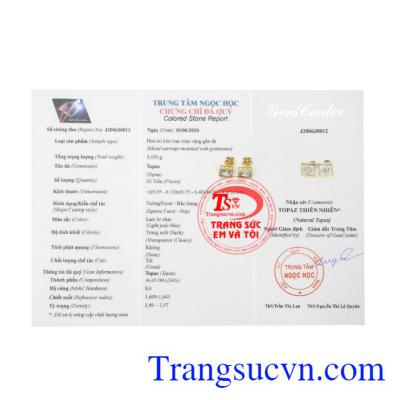 Hoa tai Topaz thời trang vàng 14k