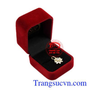 Mặt dây ánh sáng lấp lánh