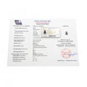 Giấy kiểm định