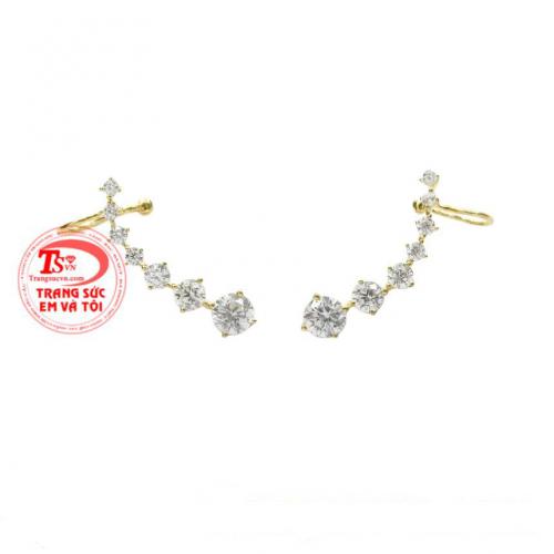 Hoa tai nữ ấn tượng