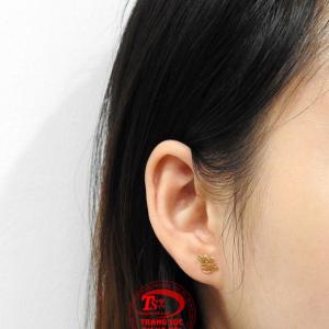 Sản phẩm được giao hàng toàn quốc