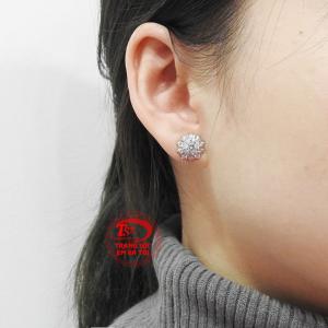 Hoa tai nữ bạc xinh xắn giao hàng nhanh trên toàn quốc.