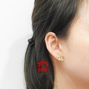 Giao hàng toàn quốc 