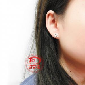 Hoa tai vàng tây tỏa sáng nhận giao hàng toàn quốc