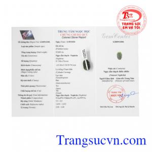 Giấy kiểm định