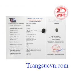 Giấy kiểm định