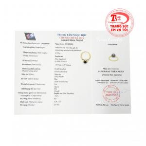 Vì vậy mà các sản phẩm trang sức vàng gắn đá saphir thường đắt giá và được rất nhiều người yêu thích.