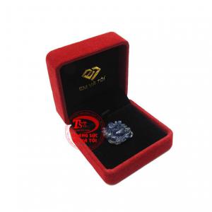 Thanh toán an toàn