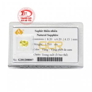 Saphir vàng ép vỉ quyền lực đang được nhiều khách hàng ưa chuộng hiện nay.