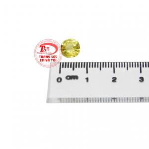 Saphir vàng ép vỉ sung túc chất lượng