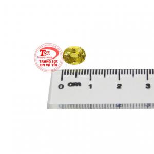 Sapphire vàng ép vỉ tài lộc phù hợp với người mệnh kim và mệnh thổ.