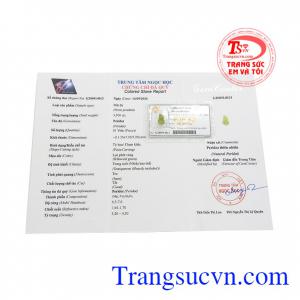Giấy kiểm định