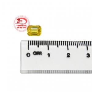 Sản phẩm đảm bảo uy tín chất lượng 