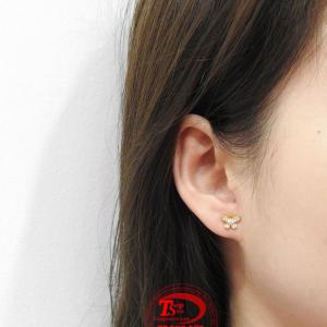 Giao hàng toàn quốc 