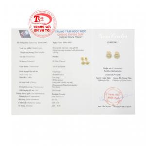 Nhận chế tác theo yêu cầu 