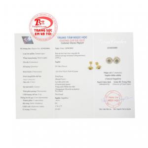 Hoa tai Sapphire thanh tú giao hàng nhanh trên toàn quốc.