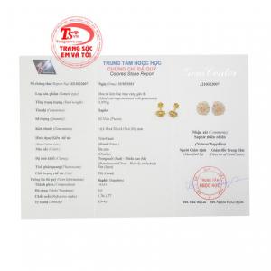 Sản phẩm đảm bảo uy tín chất lượng 