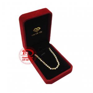 Thanh toán an toàn 