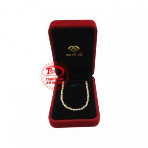 Thanh toán an toàn 