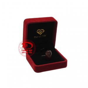 Thanh toán an toàn 