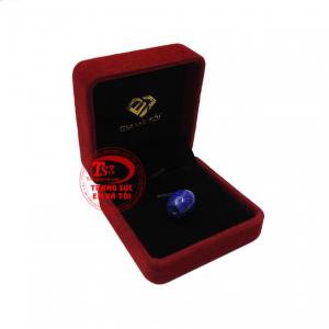 Thanh toán an toàn 