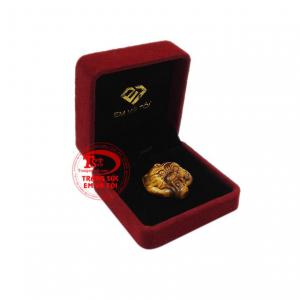 Giao hàng toàn quốc