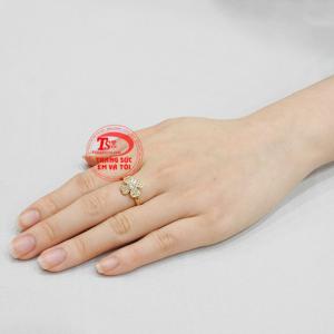 Giao hàng toàn quốc 