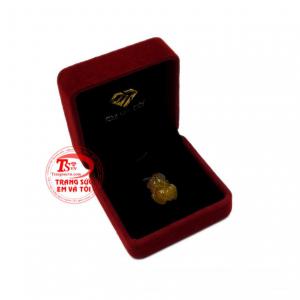 Giao hàng toàn quốc 