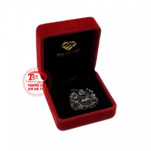 Thanh toán an toàn 