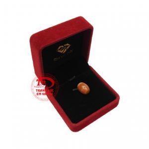 Giao hàng toàn quốc